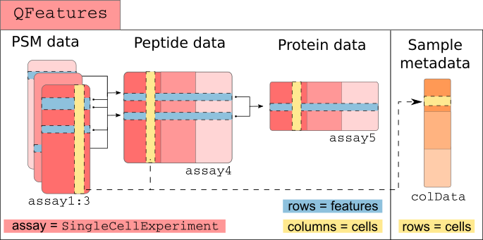 The `scp` framework relies on `SingleCellExperiment` and `QFeatures` objects