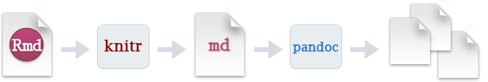 The rmarkdown workflow (image from RStudio)