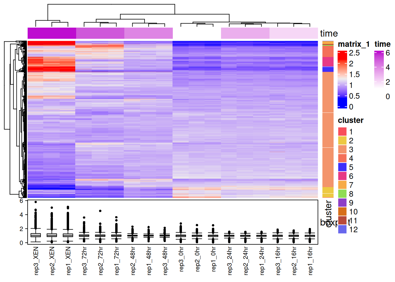 An annotated heatmap produced with the `ComplexHeatmap` Bioconductor package.