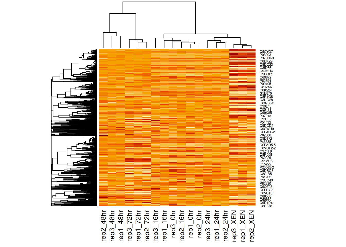 Heatmap of the (normalised) Mulvey et al. 2015 proteomic data using correlation distances.