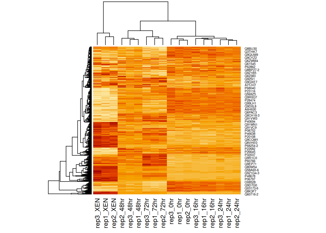 Heatmap of the (normalised) Mulvey et al. 2015 proteomic data.