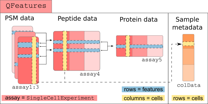 `scp` relies on `SingleCellExperiment` and `QFeatures` objects.